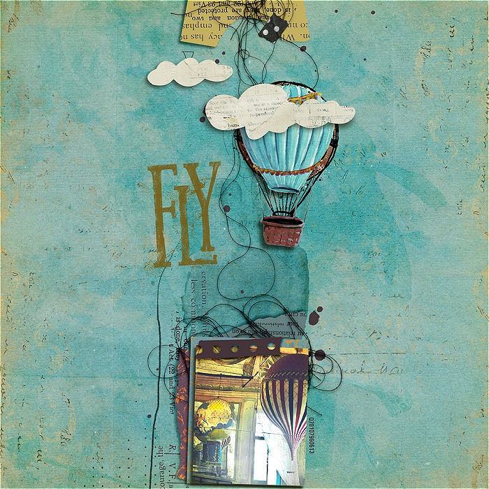 Fly