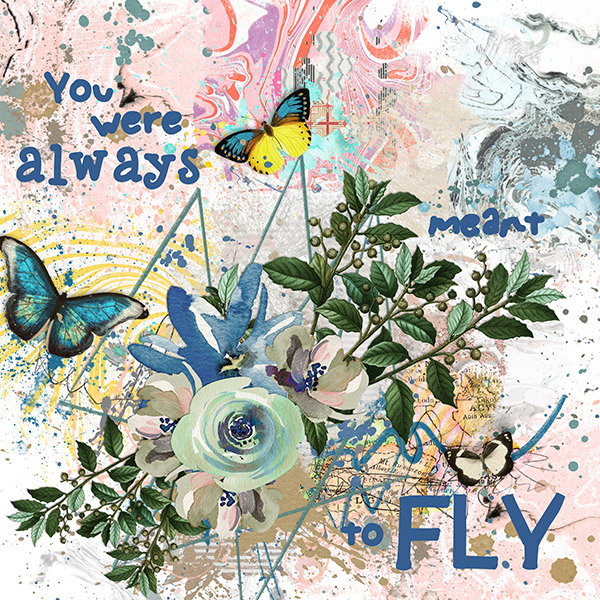 Fly