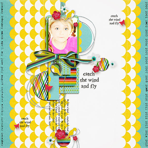 fly