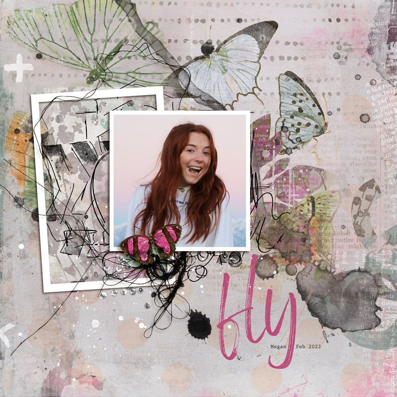 fly
