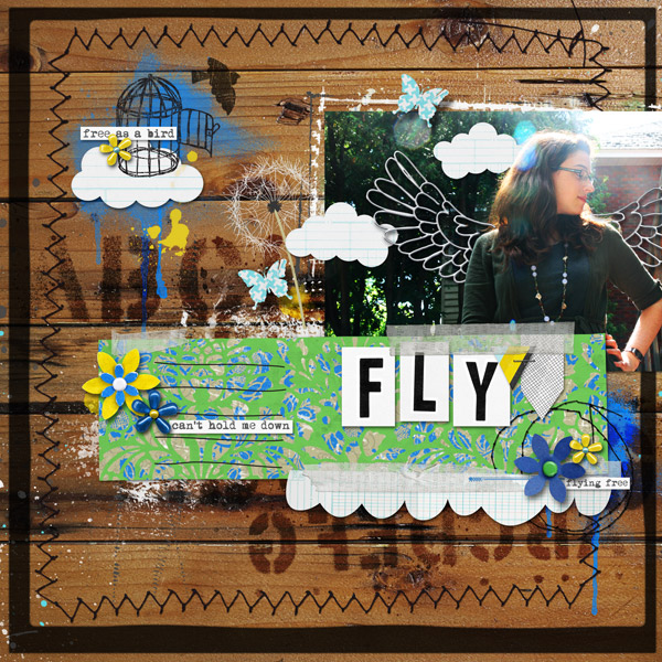 Fly
