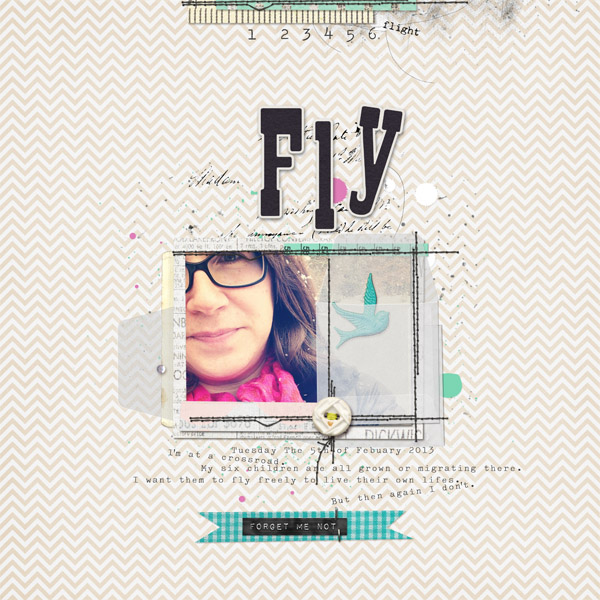 fly