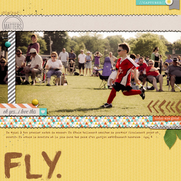 Fly