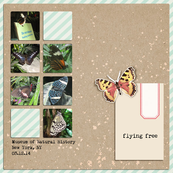 Flying Free