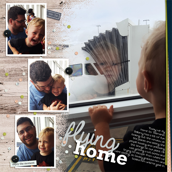 Flying Home