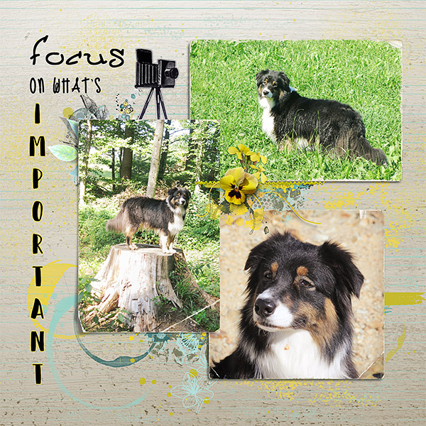 Focus - Inspiration Challenge