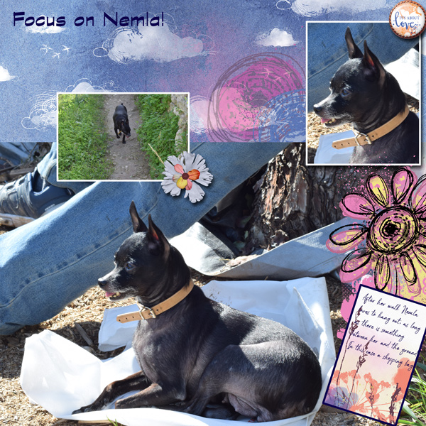 Focus-on-Nemla