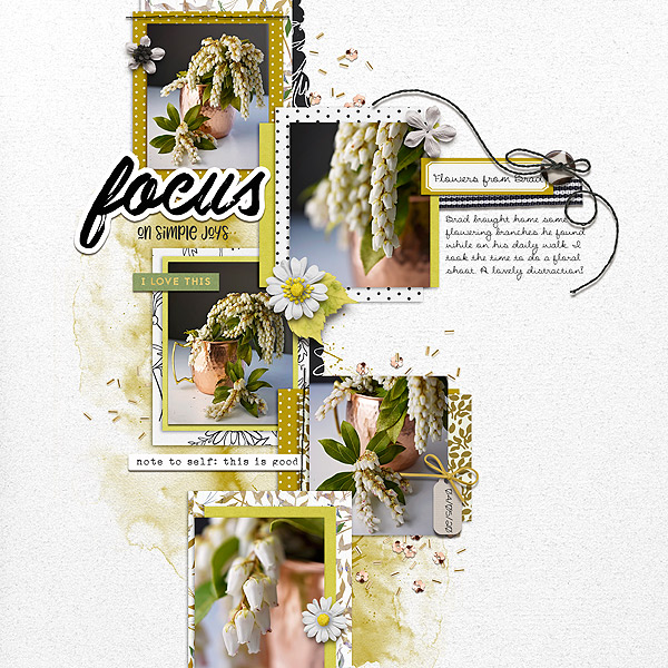 Focus