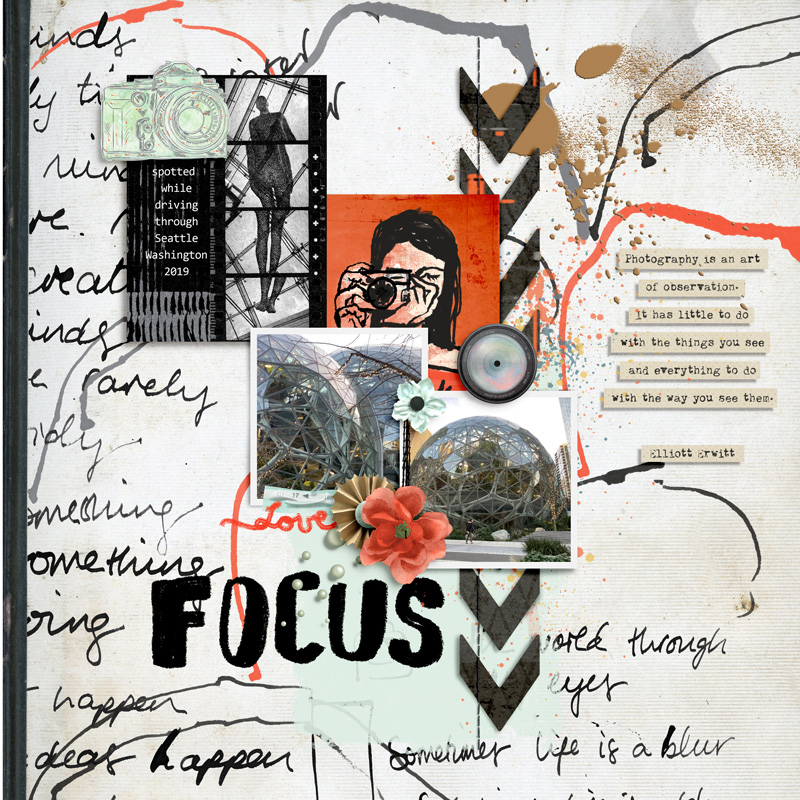 Focus