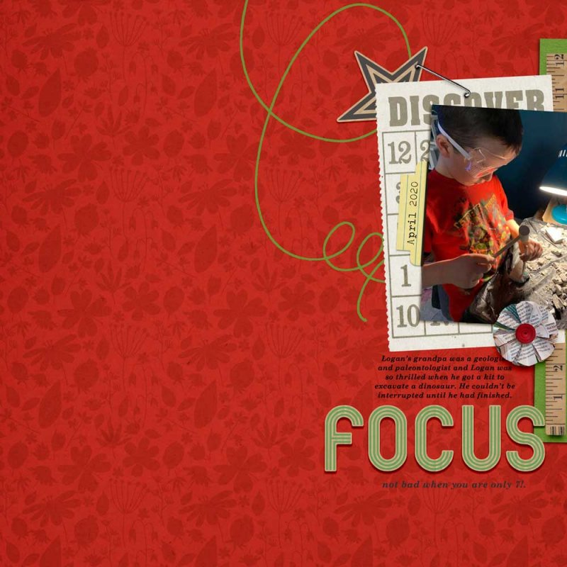 Focus