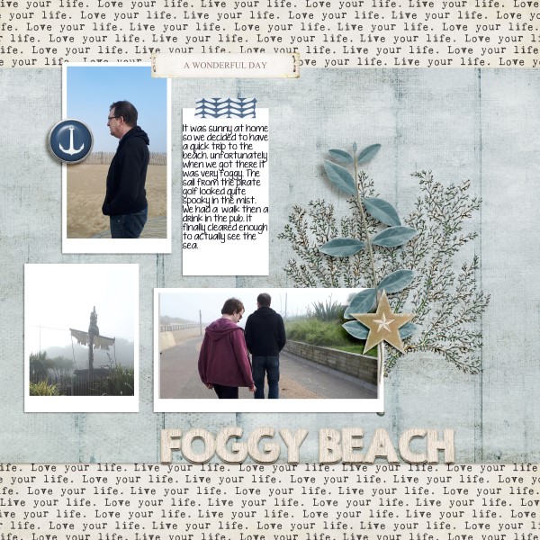 FOGY BEACH (Custom)