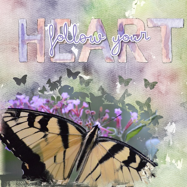 Follow Your Heart