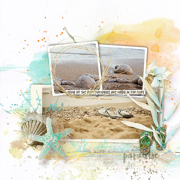 Footprints in the Sand