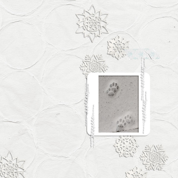 Footprints in the snow (Day 9)