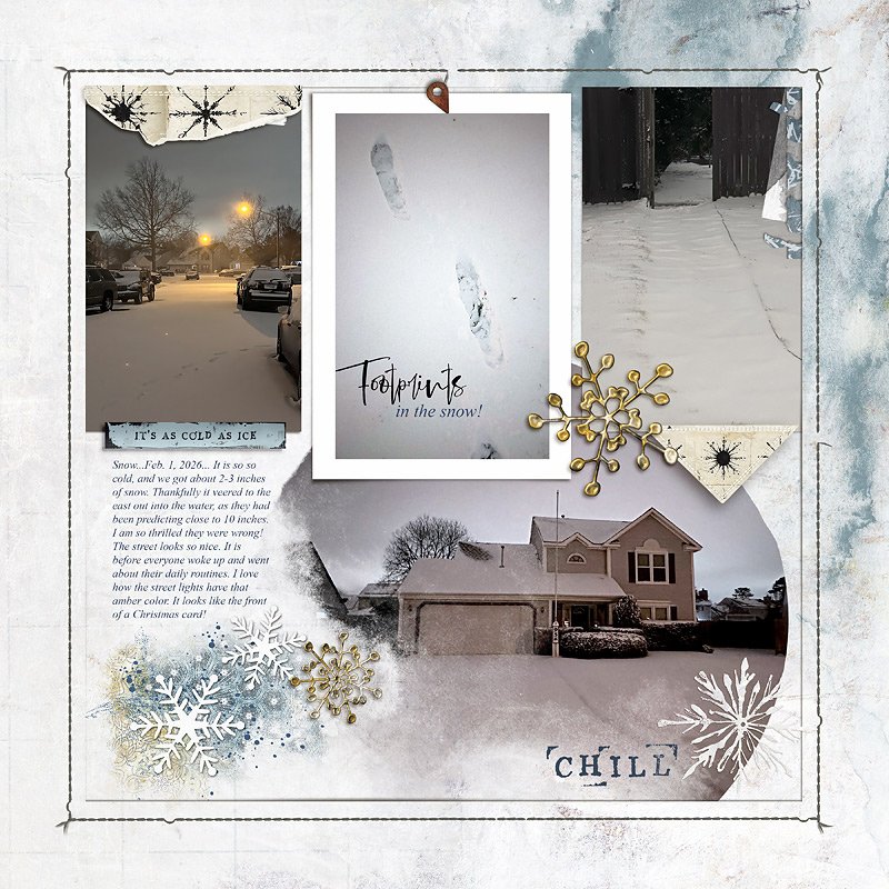 Footprints in the Snow