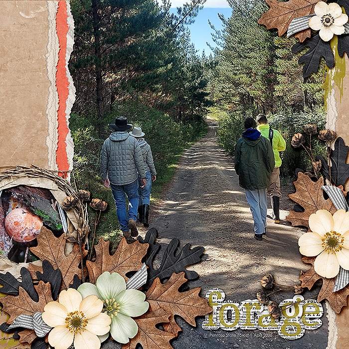 Forage