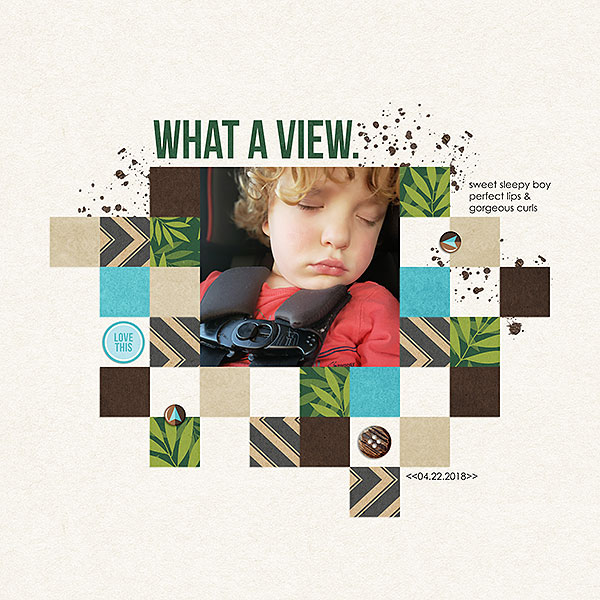 Ford---what-a-view-WEB