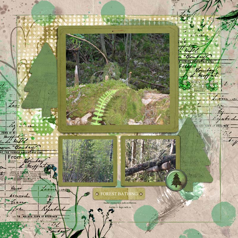 Forest Bathing