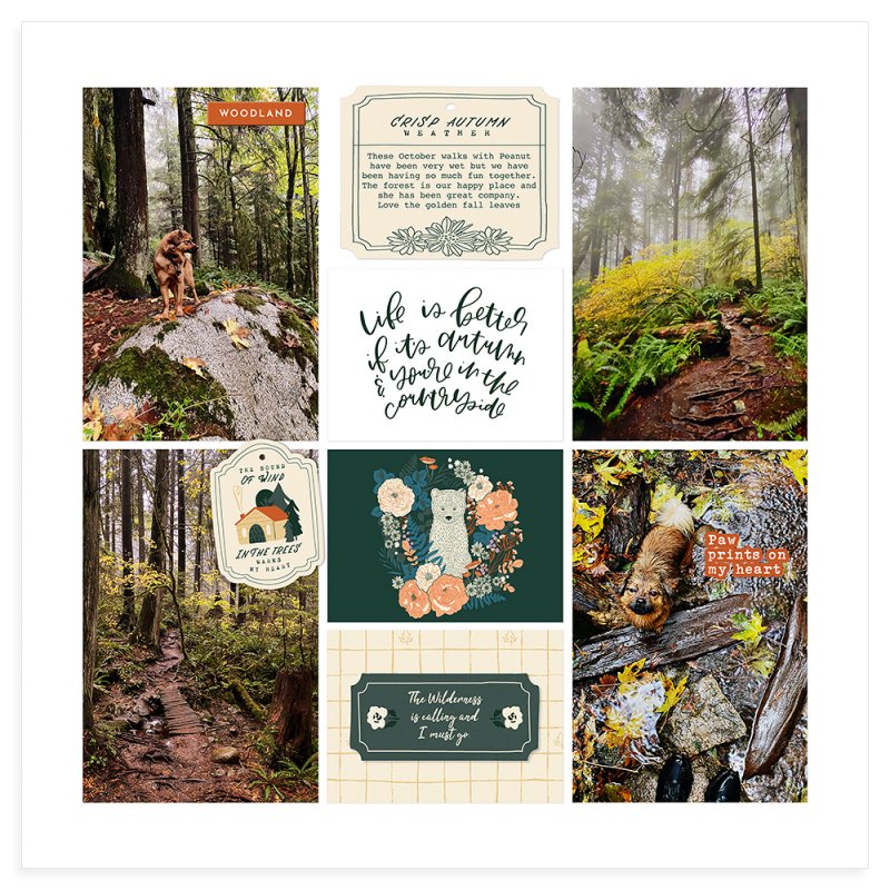 Forest fun