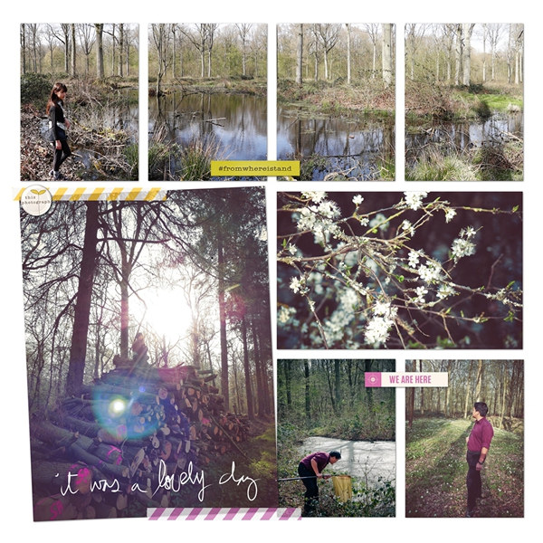 Forest walk