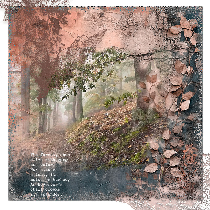 forest