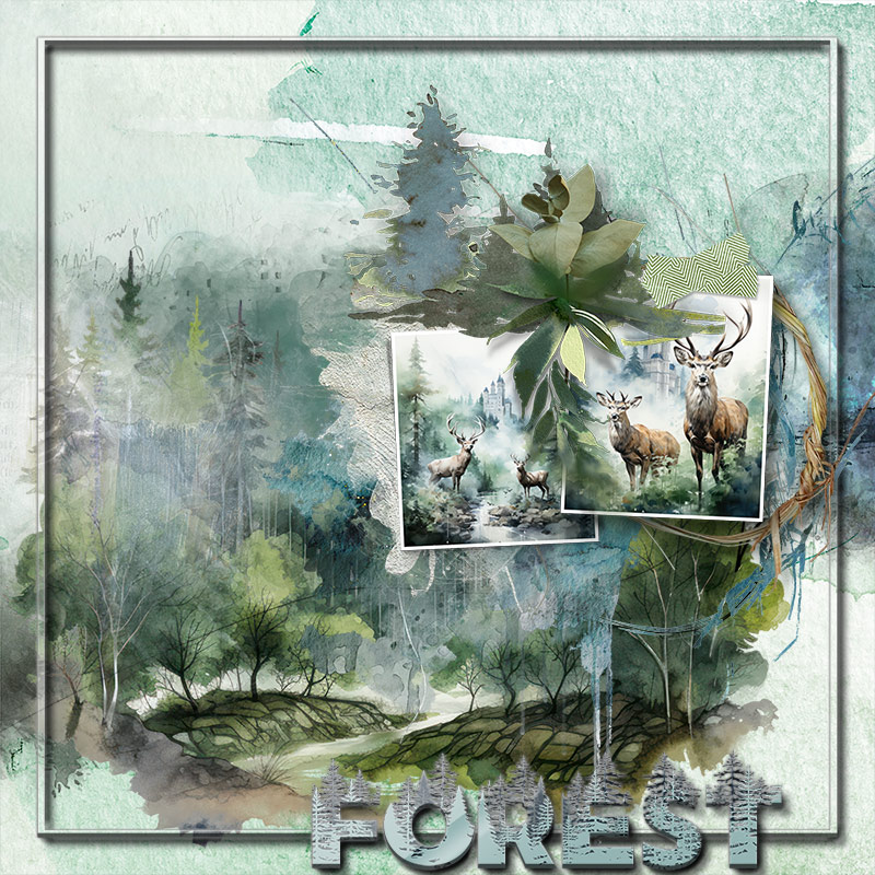 forest