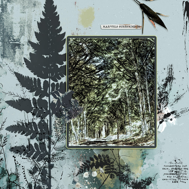 Forest