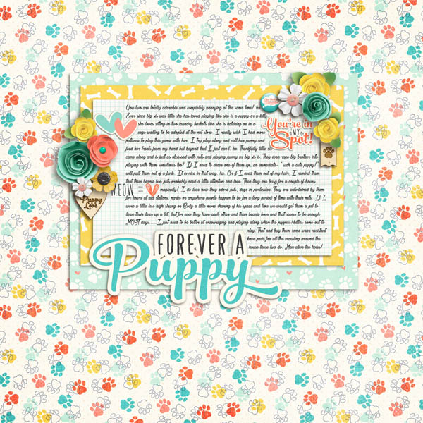 Forever A Puppy