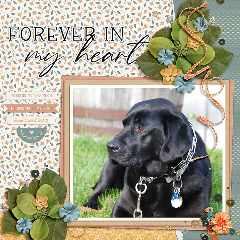Forever In My Heart