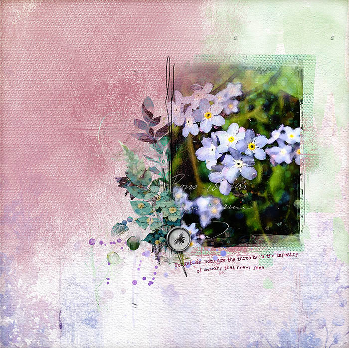 Forget-me-nots