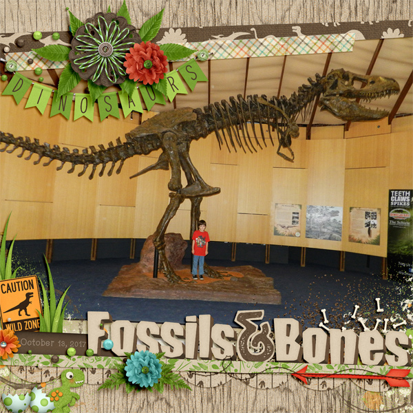 Fossils&Bones