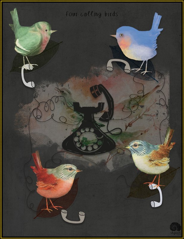 FOUR CALLING BIRDS
