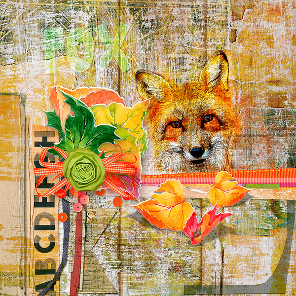 fox