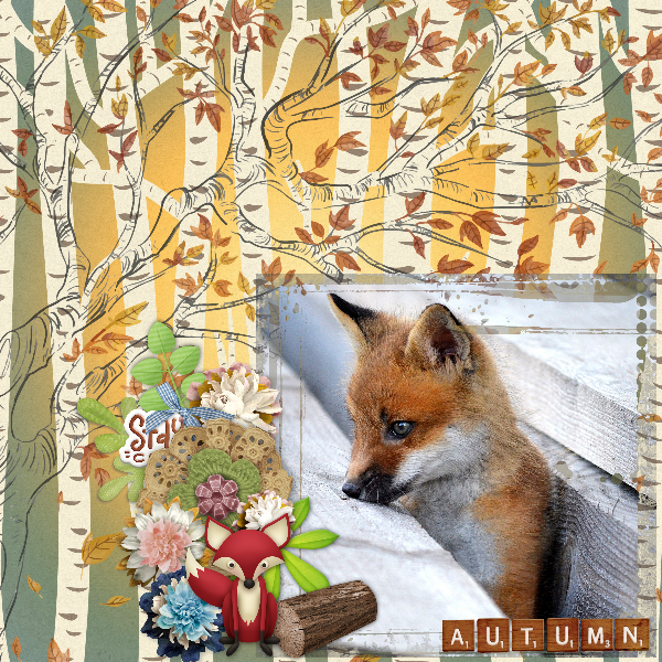 Fox