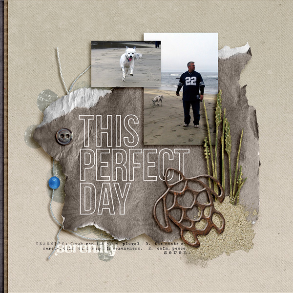 Foxy's Perfect Day