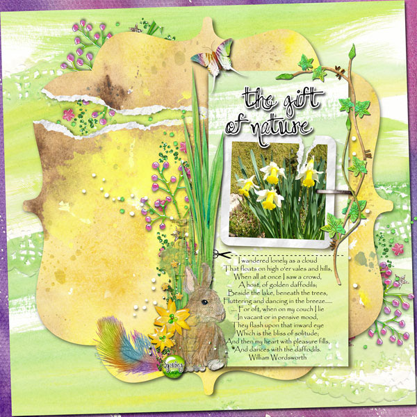 Fragile Daffodils