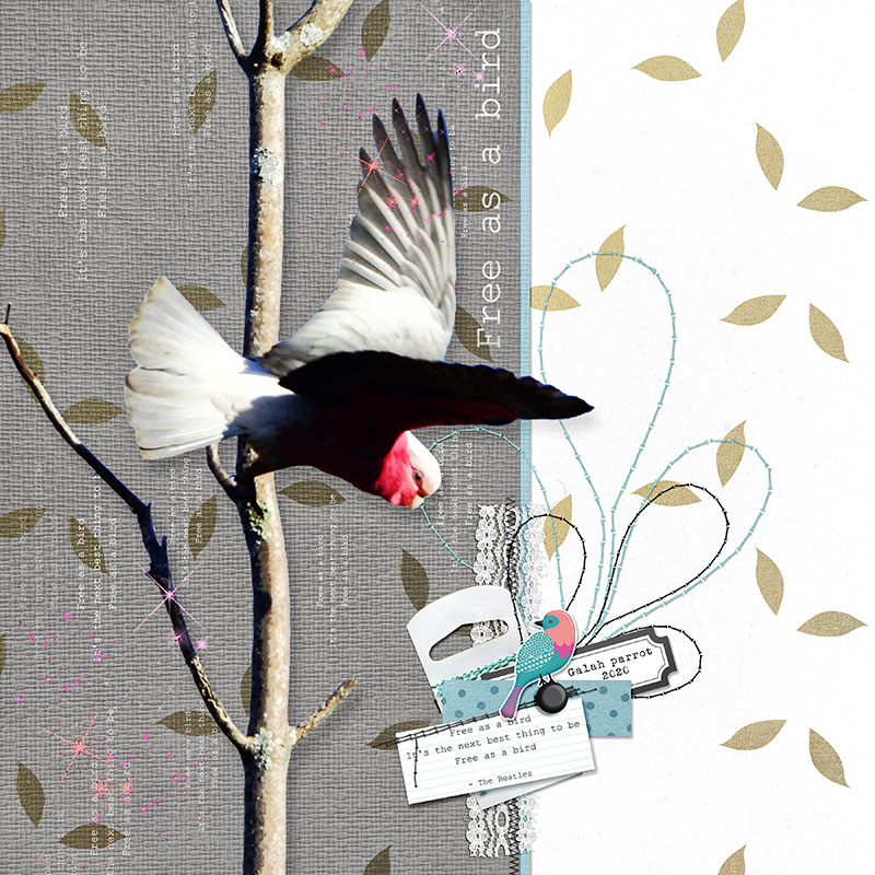 FREE AS A BIRD