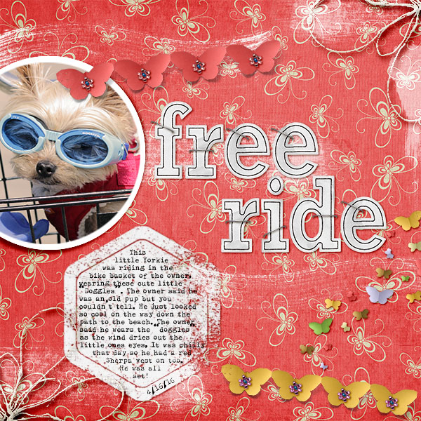 Free Ride