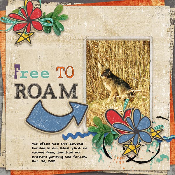 Free_To_Roam