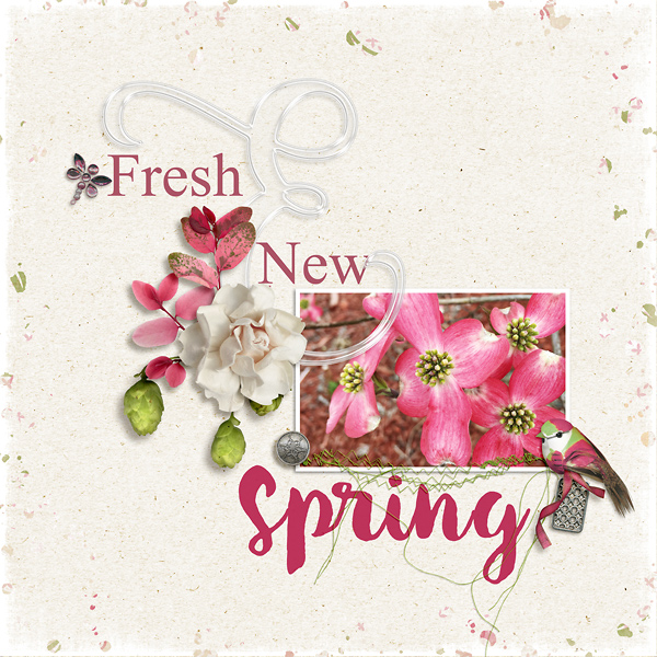 Fresh and New