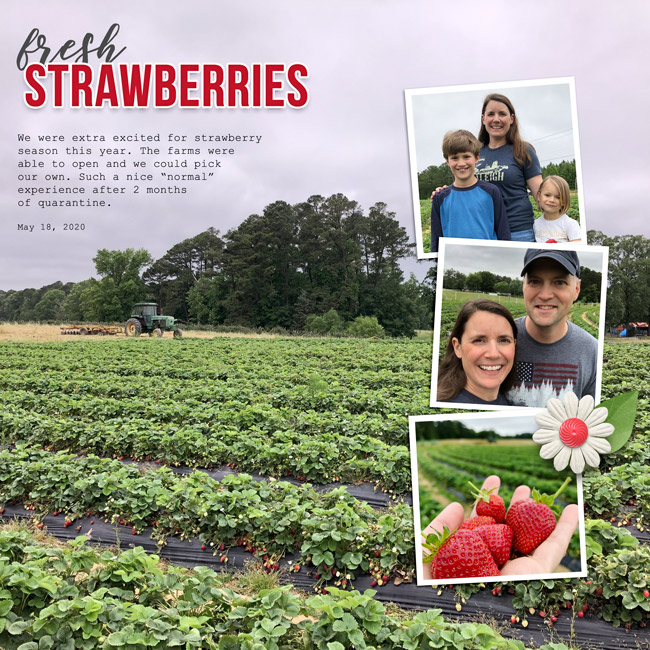 Fresh Strawberries