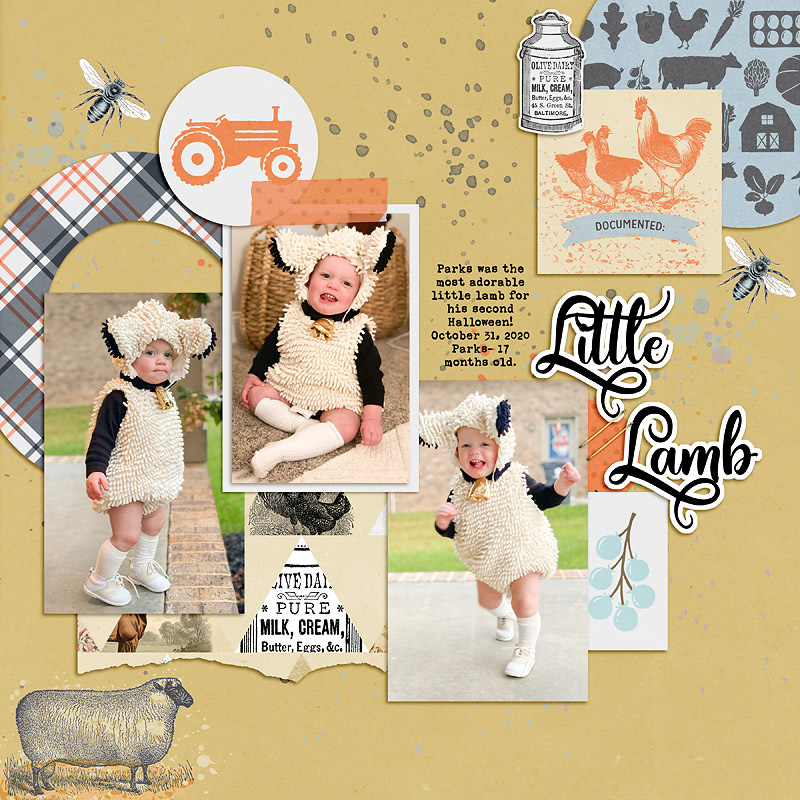 Friday 10/13- Little Lamb