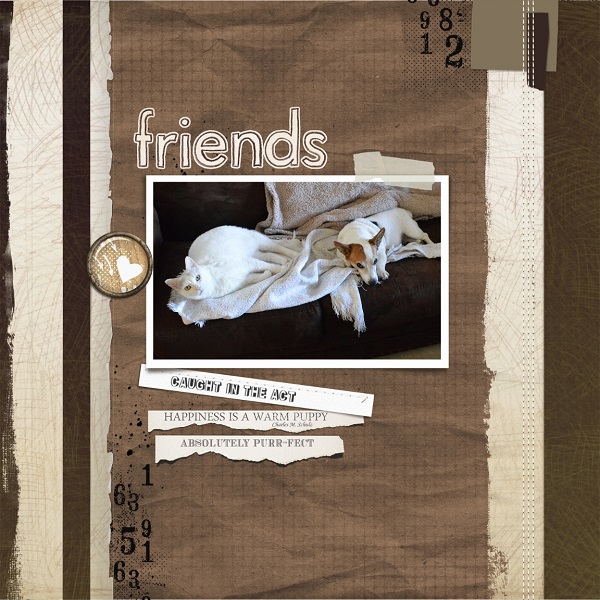 Friends