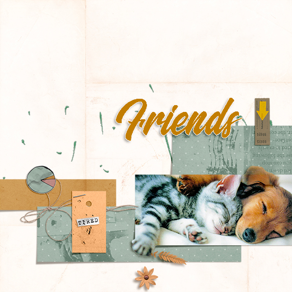 Friends