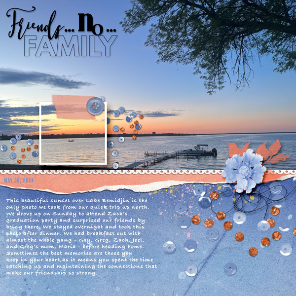 Friends_no_Family