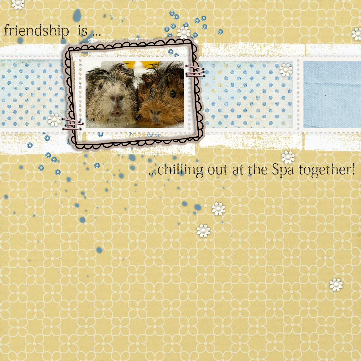 Friendship is