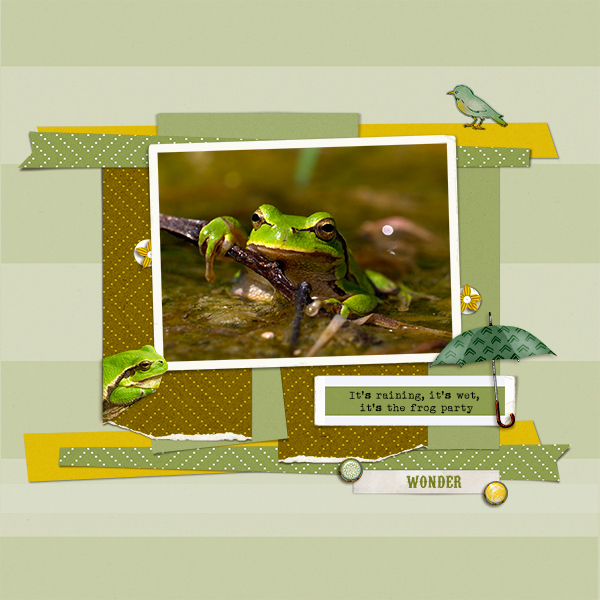 Frog Party
