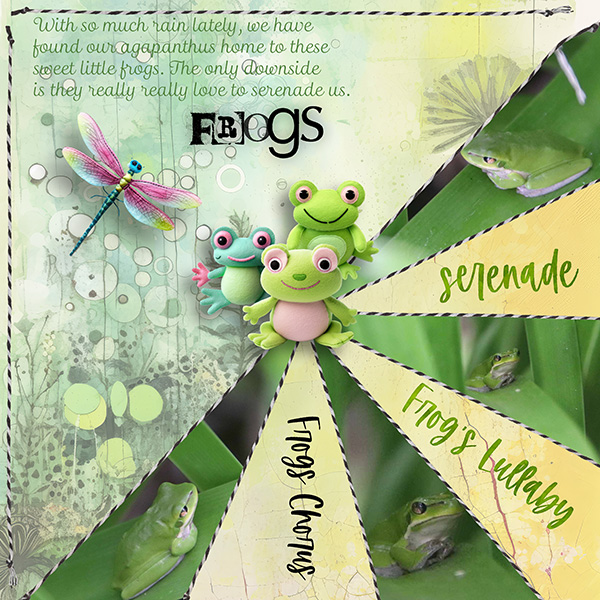 Frogs Chorus