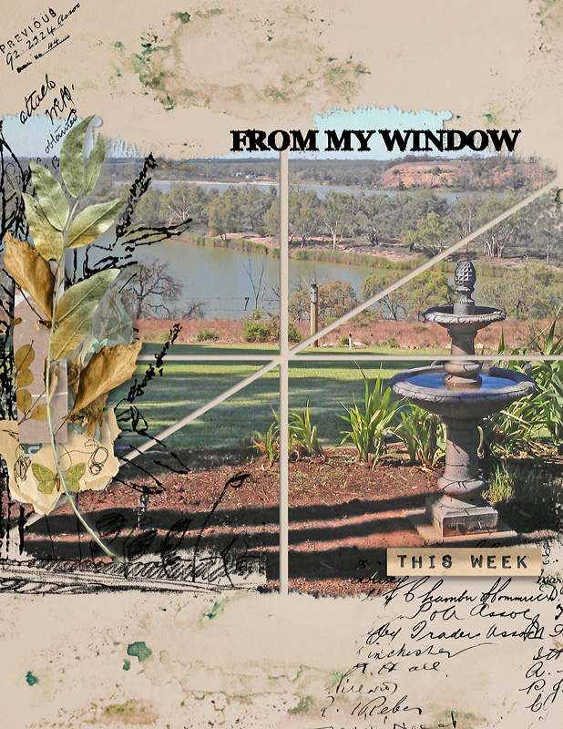 From My Window