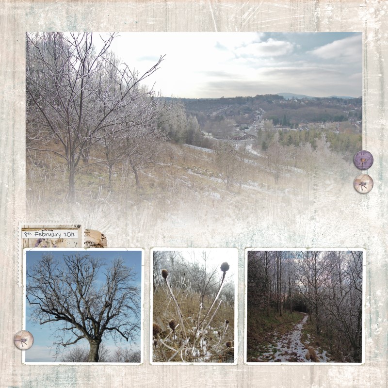 Frosty Day